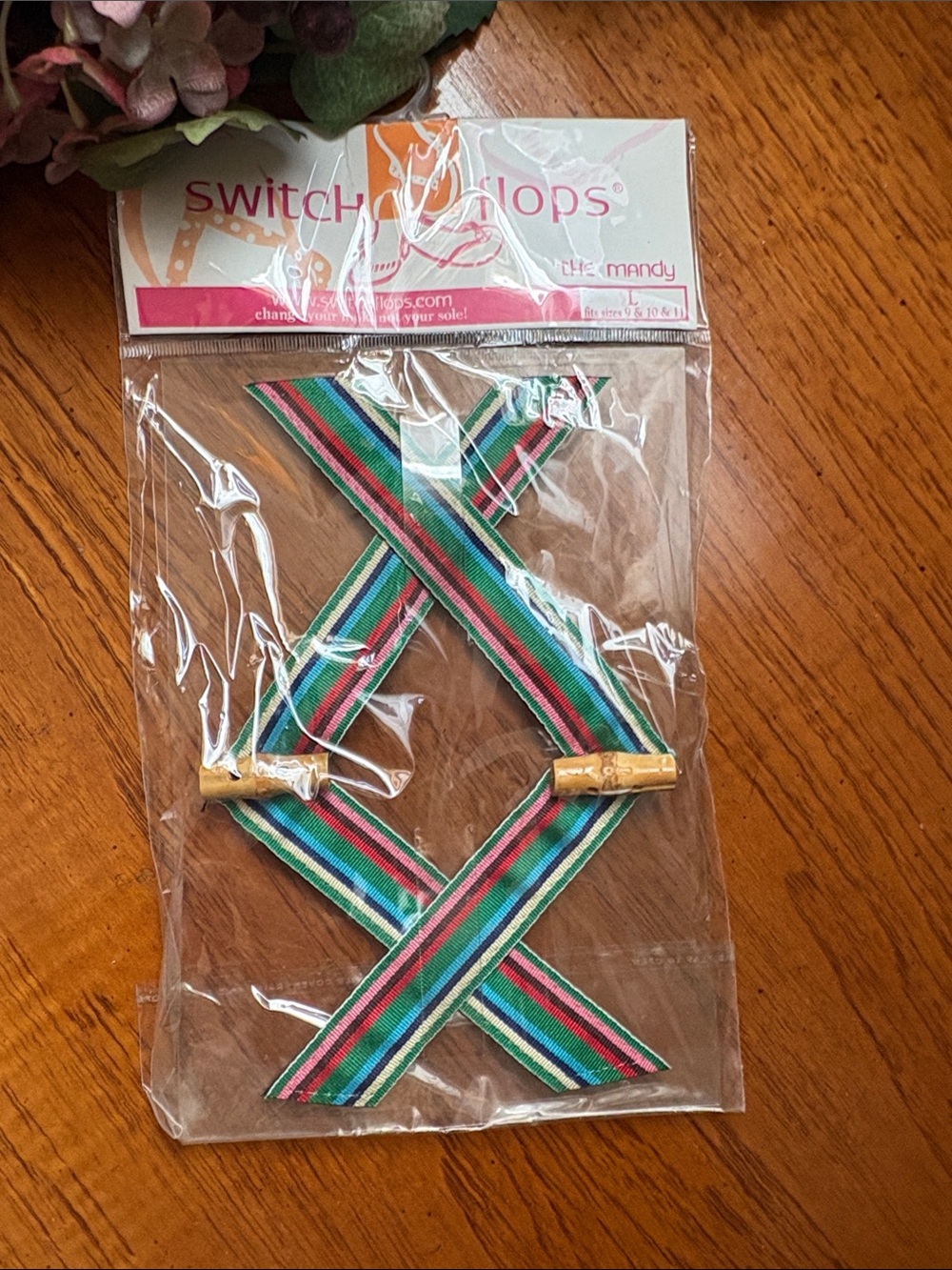 Switchflops Mandy Green Multi-Stripe Ribbon Sandal Straps